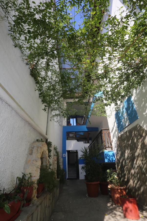 Apartments Villa Castor ペフコホリ エクステリア 写真